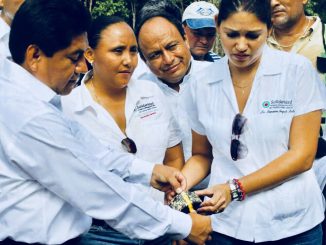 Filiberto Martínez y Cristina Torres comparten expediente de corrupción por monto 917 mdp en Playa del Carmen