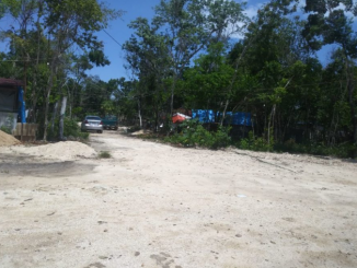 las invasiones de Puerto Aventura cada vez generan más inseguridad