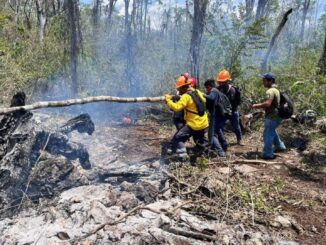 Hasta 20% de incendios forestales en Cancún son provocados; la mayoría, en zonas irregulares